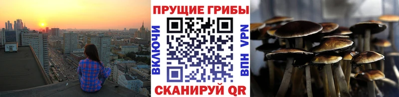 Галлюциногенные грибы GOLDEN TEACHER Урай